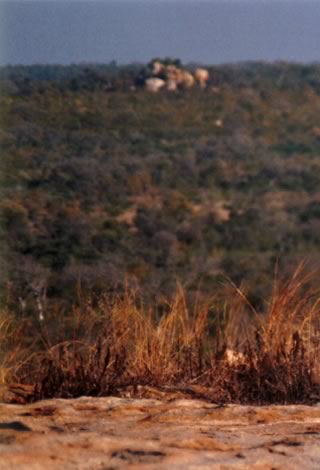 Sosta - Kruger National Park