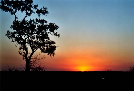 Tramonto - Kruger National Park