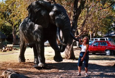 Letaba - Kruger National Park