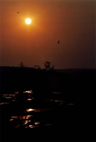 Tramonto - Kruger National Park