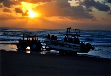 Whale watching all'alba - St. Lucia