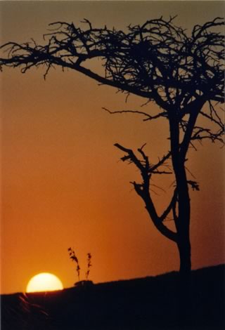 Tramonto - Ithala Game Reserve