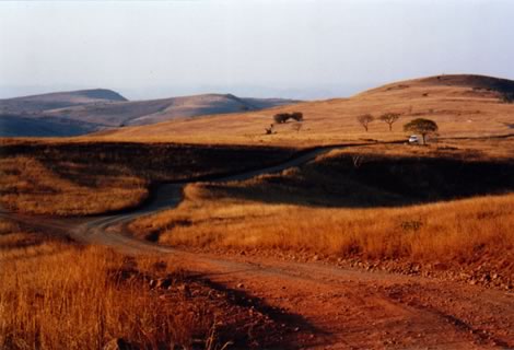 Ithala - Ithala Game Reserve