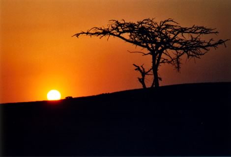 Tramonto - Ithala Game Reserve