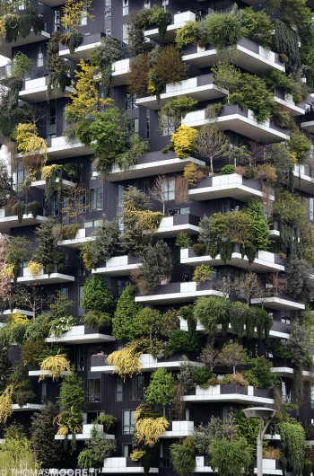 Bosco Verticale